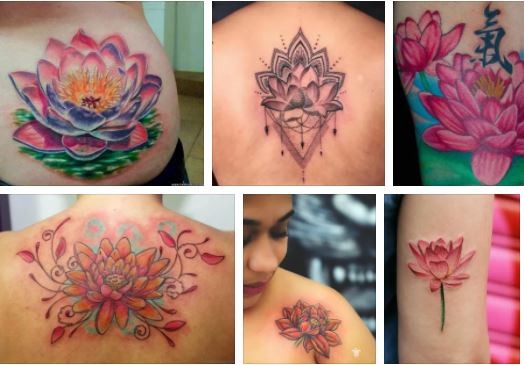Flower Tattoo Designs And Meaning : 35 Best Aster Flower Tattoo Designs.