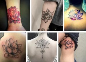 Lotus Flower Tattoo & Lotus Flower Tattoo Meaning  