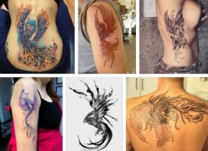Phoenix Tattoo & Phoenix Tattoo Designs  