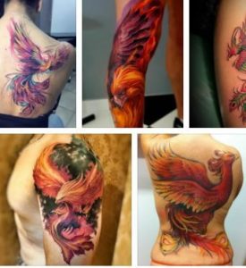 Phoenix Tattoo & Phoenix Bird Tattoo Designs  