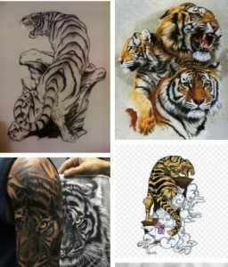 White Tiger Tattoo & Japanese Tiger Tattoo Designs  