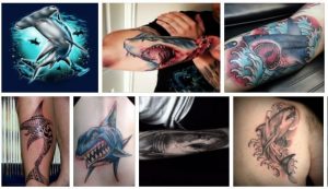 Shark Tattoo & Hammerhead Shark Tattoo Design *2020 Best Ever  