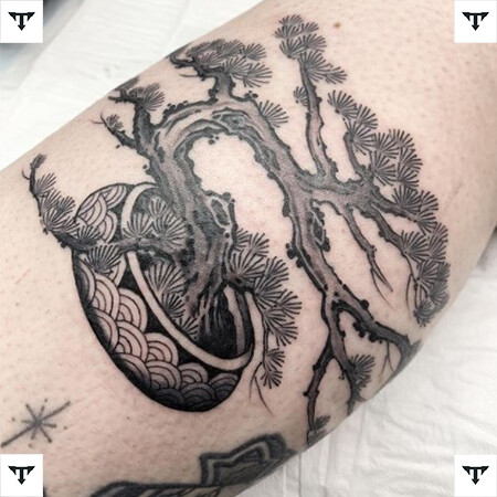 Bonsai Tree Tattoo Meaning *2022  